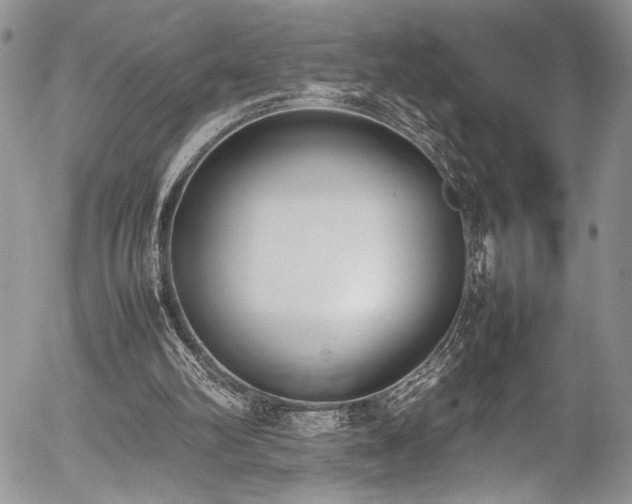 X0000054430102200507291258