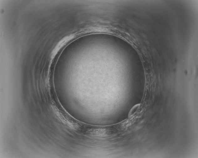 X0000054430104200507291258
