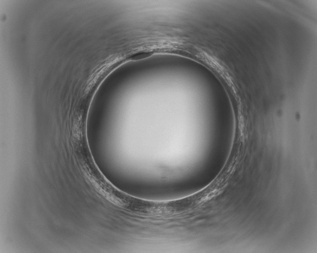 X0000054430105200507291258