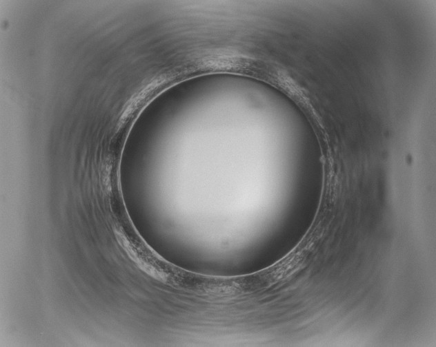 X0000054430106200507291258