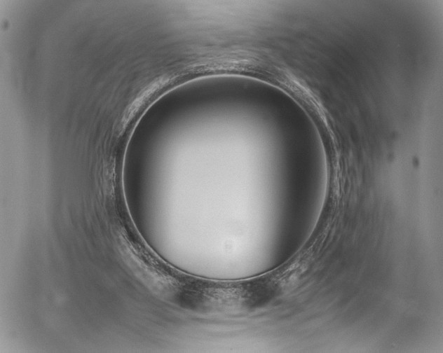 X0000054430107200507291258