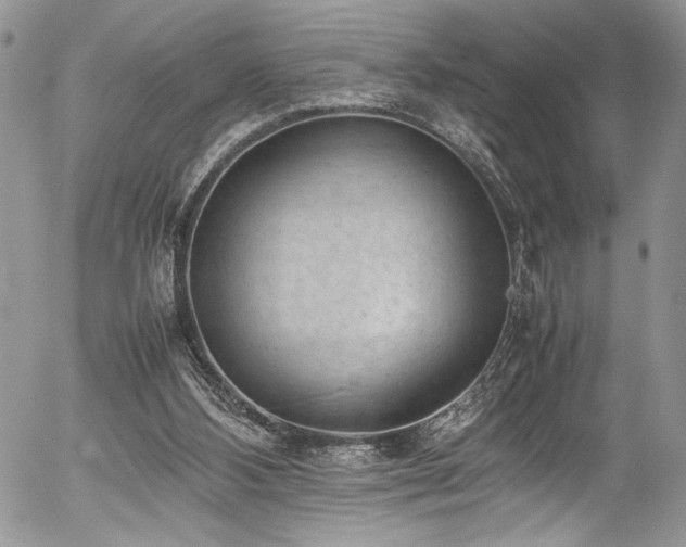 X0000054430108200507291258