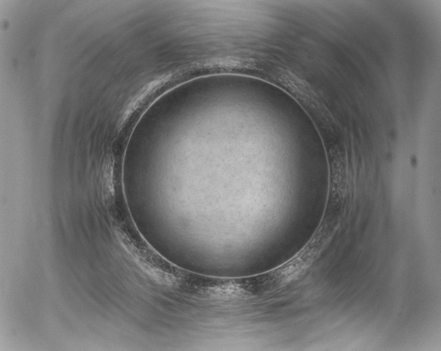 X0000054430112200507291258