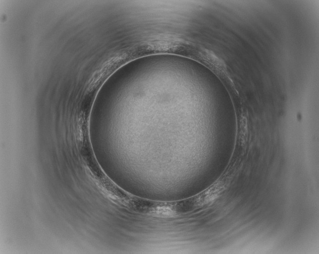 X0000054430114200507291258