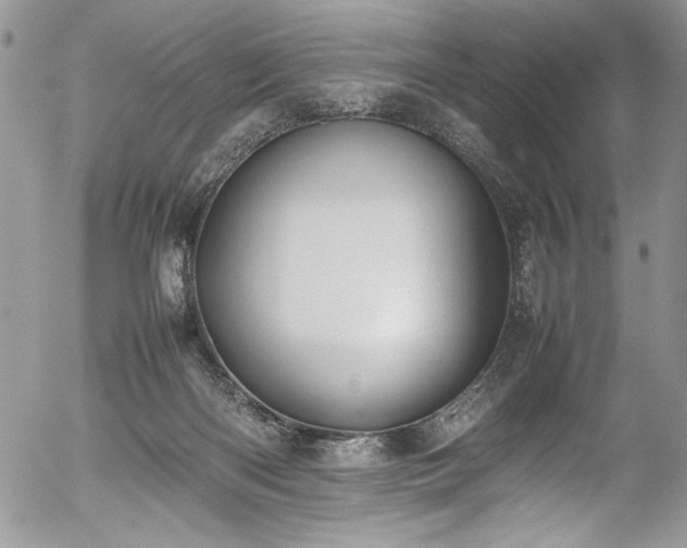 X0000054430122200507291258