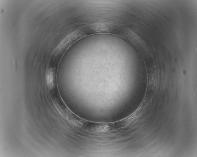 X0000054430124200507291258