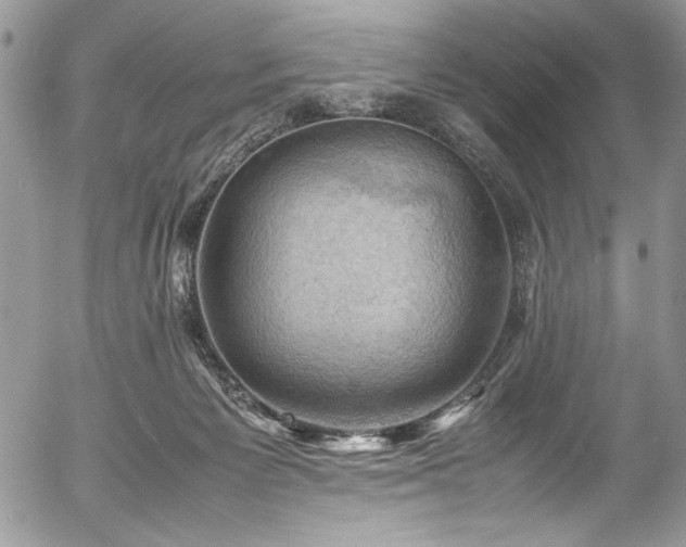 X0000054430125200507291258