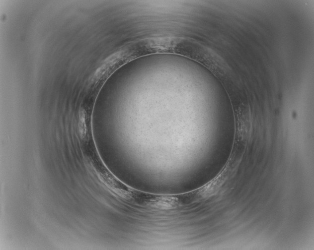 X0000054430128200507291258