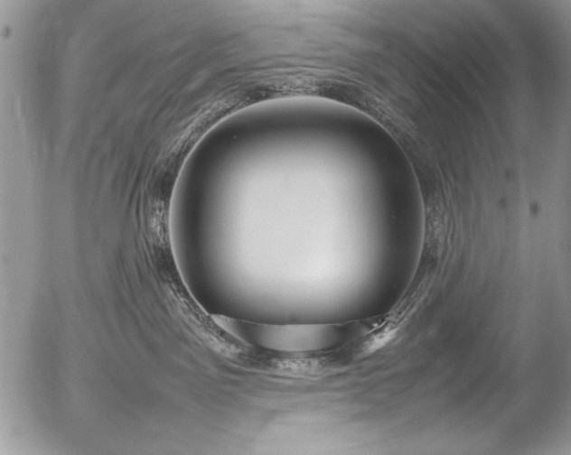 X0000054430141200507291258
