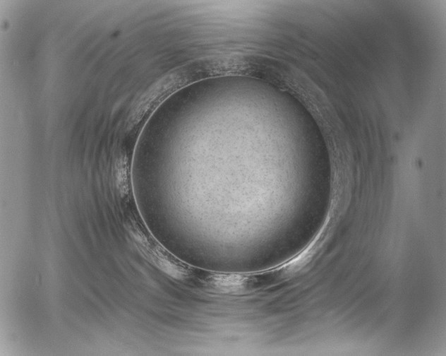 X0000054430144200507291258