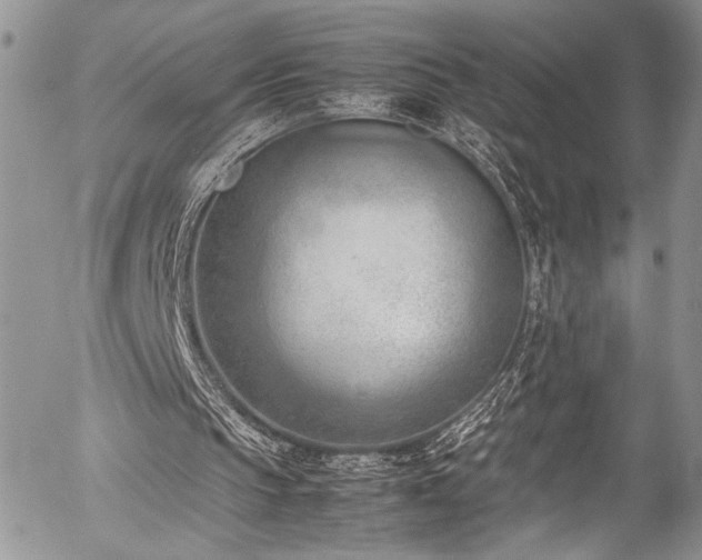 X0000054430145200507291257