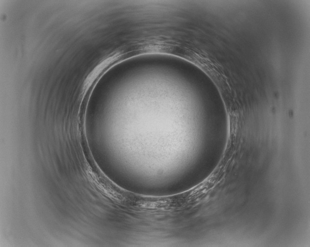 X0000054430147200507291257