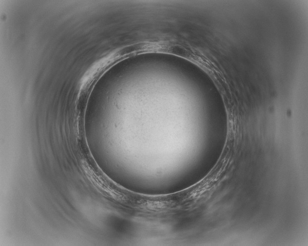 X0000054430149200507291257