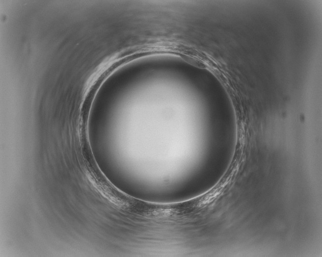 X0000054430152200507291257