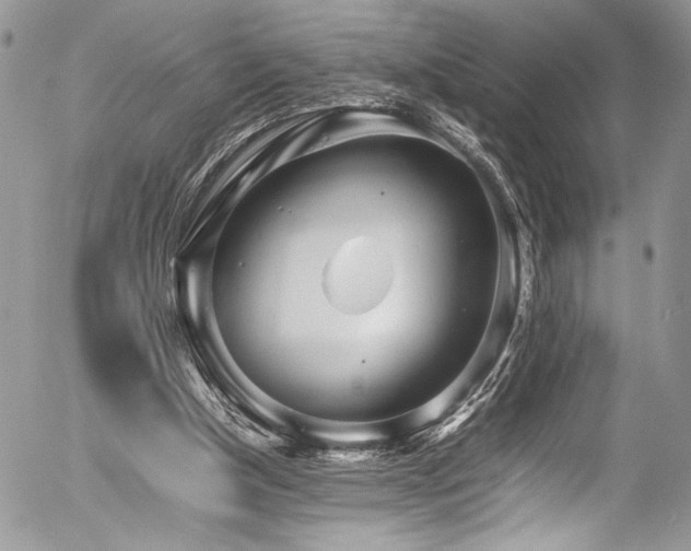 X0000054430154200507291257