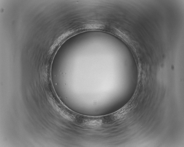 X0000054430155200507291257