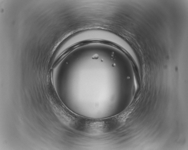 X0000054430156200507291257