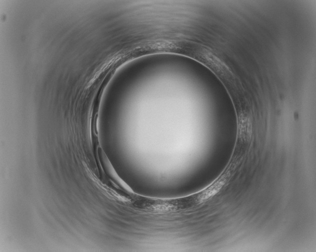 X0000054430158200507291257