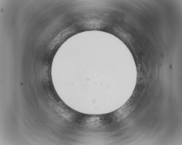 X0000054430162200507291257
