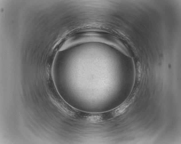 X0000054430168200507291257