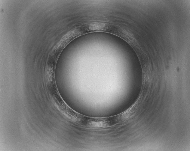 X0000054430171200507291257
