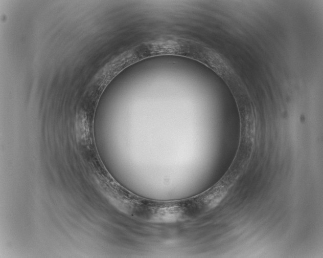 X0000054430173200507291257