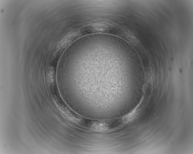 X0000054430174200507291257