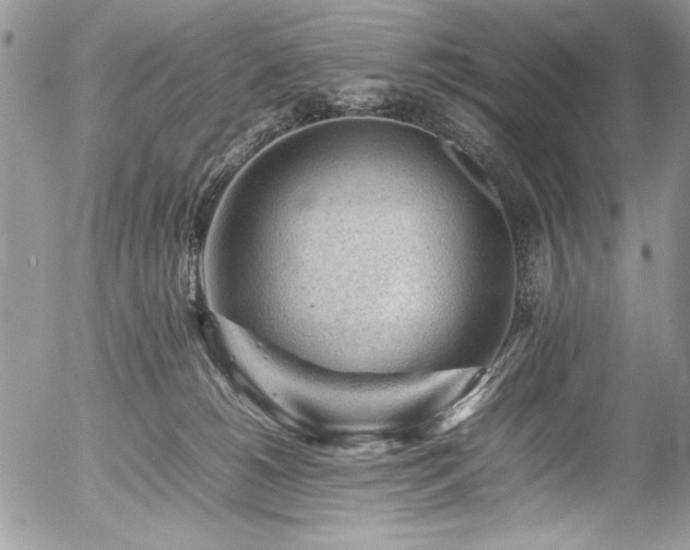 X0000054430180200507291258