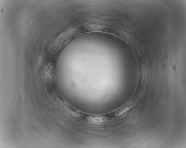 X0000054430181200507291258
