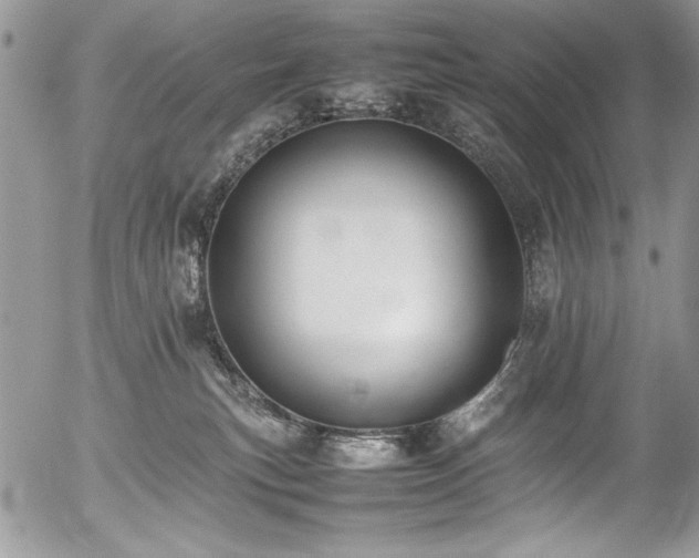 X0000054430183200507291258