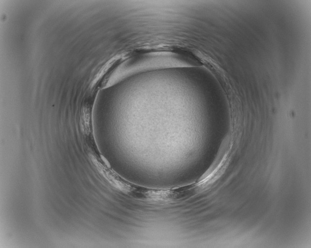 X0000054430192200507291258