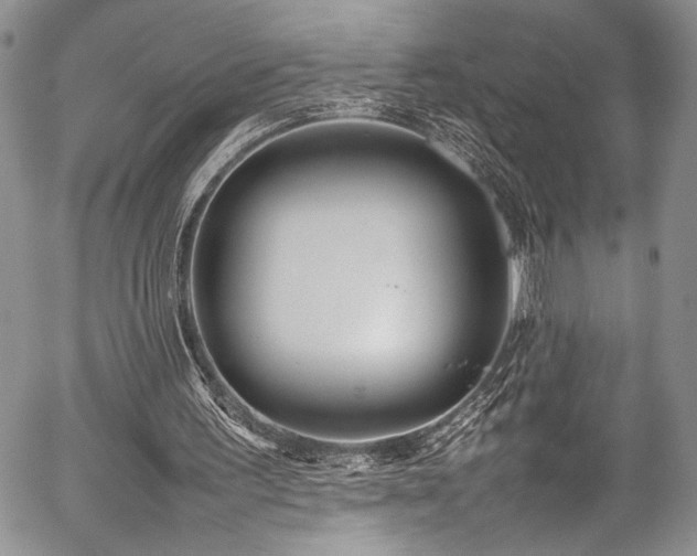 X0000054430195200507291257