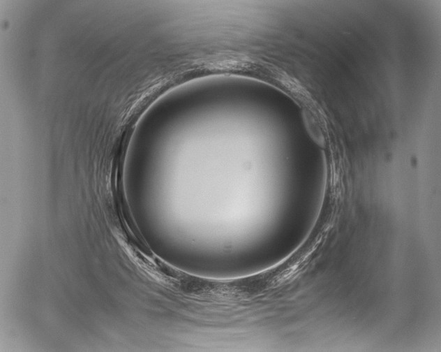 X0000054430201200507291257