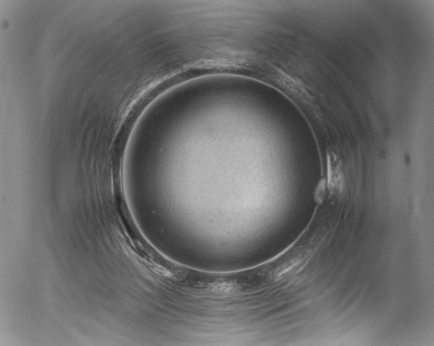 X0000054430204200507291257