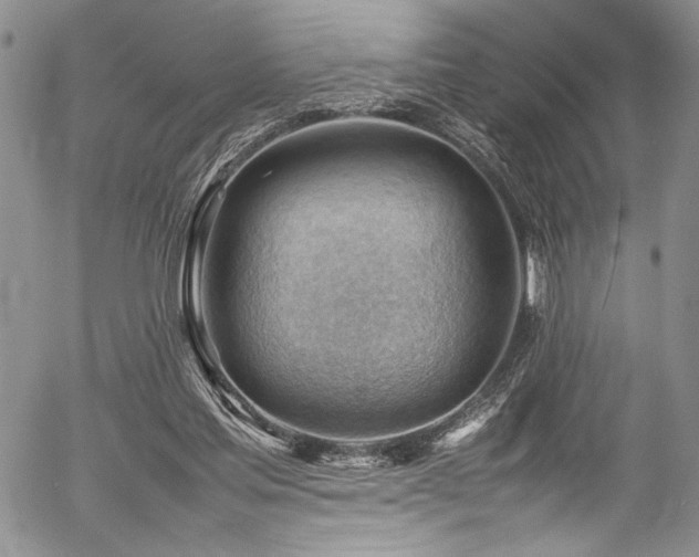 X0000054430205200507291257