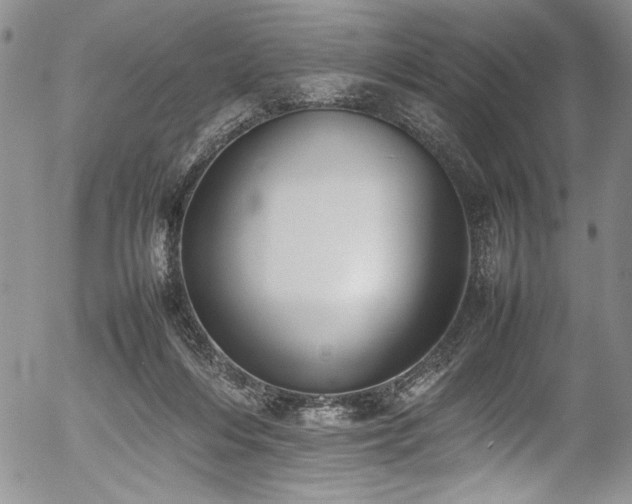 X0000054430216200507291257