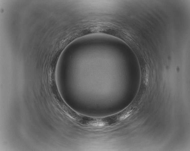 X0000054430219200507291257