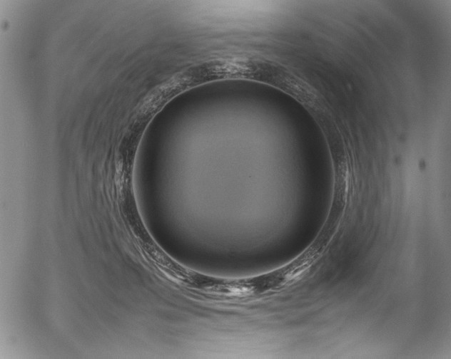 X0000054430223200507291257