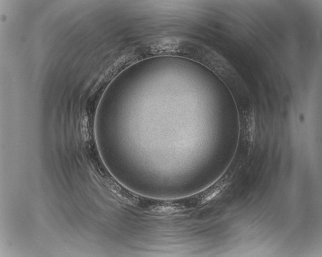 X0000054430224200507291257
