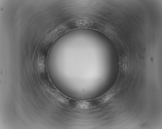 X0000054430226200507291256