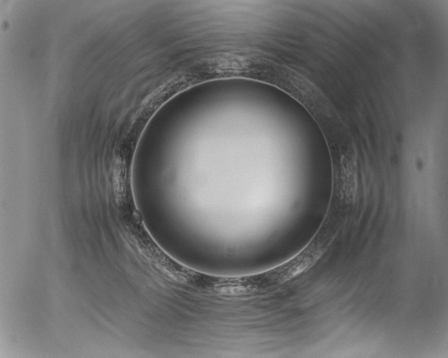 X0000054430228200507291256