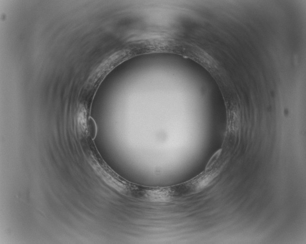 X0000054430238200507291256