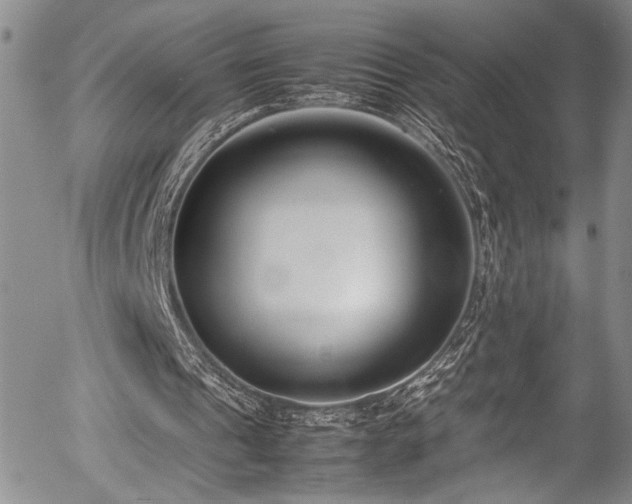 X0000054430241200507291255