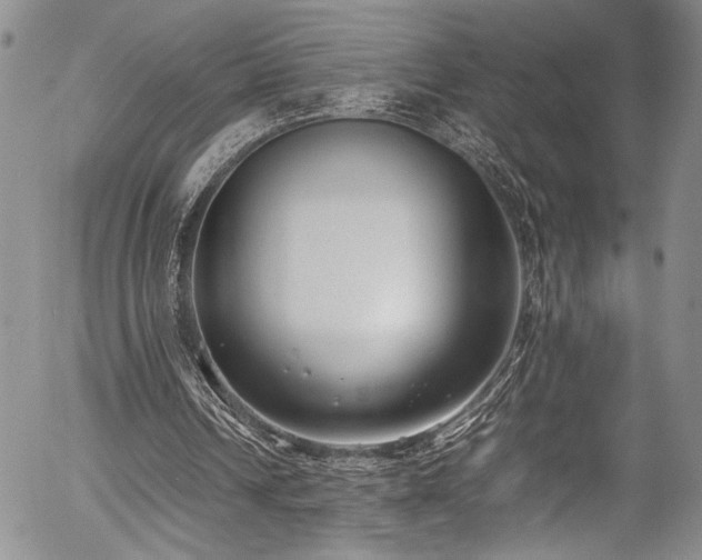 X0000054430242200507291255