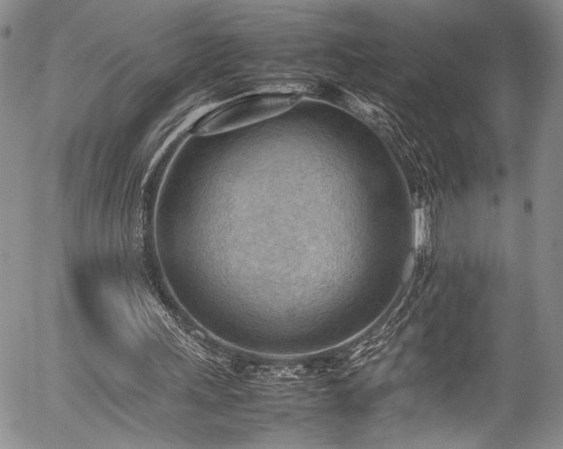 X0000054430243200507291255