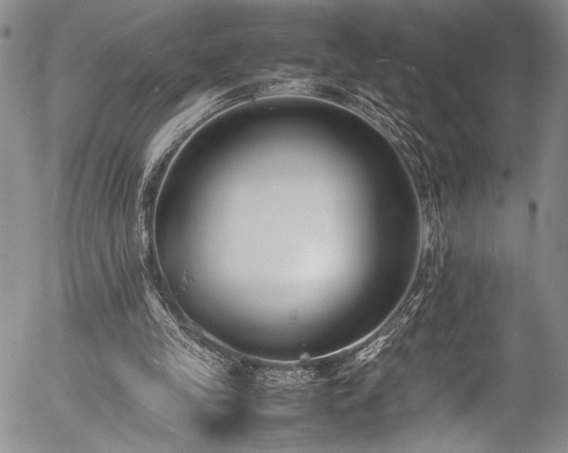 X0000054430245200507291256