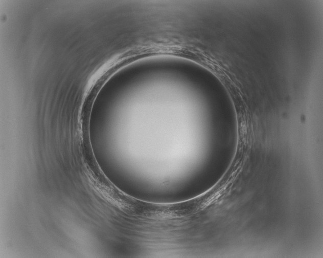 X0000054430246200507291256