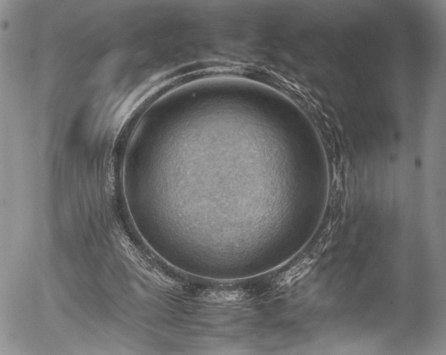 X0000054430247200507291256