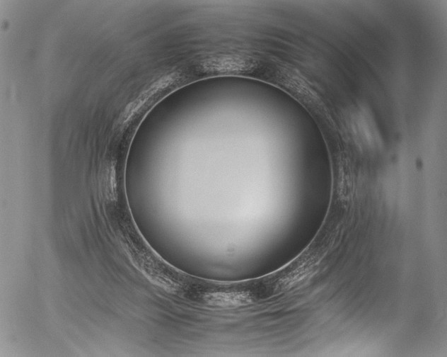 X0000054430251200507291256