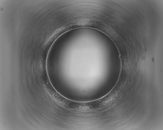 X0000054430256200507291256